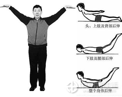 động tác chim yến