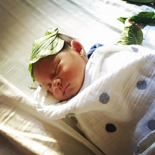 đắp lá trầu