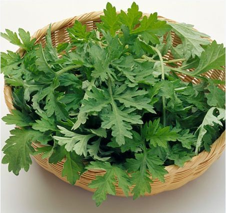 20 bài thuốc nam chữa đau lưng