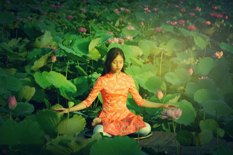 pháp luân công