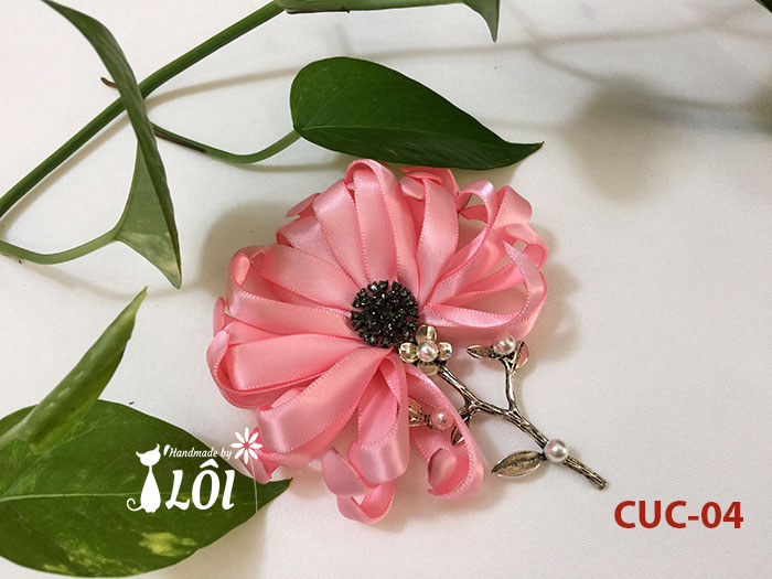Cúc hồng tươi Cúc hồng tươi