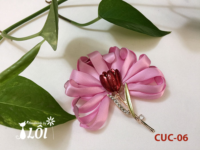 Cúc hồng tím Cúc hồng tím