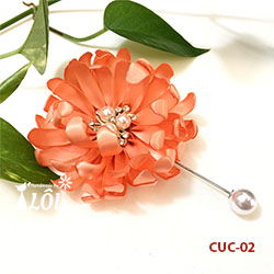 Cúc cánh cam